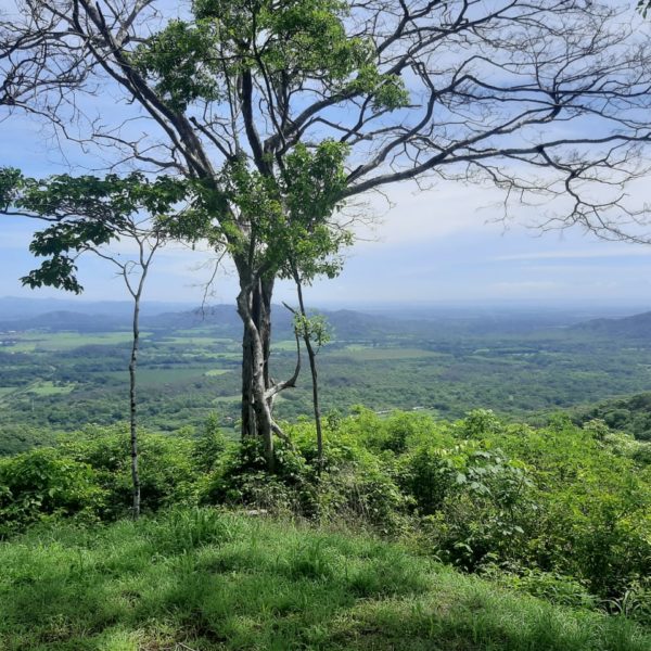 WhatsApp Image 2020-06-13 at 16.17.46 (1)