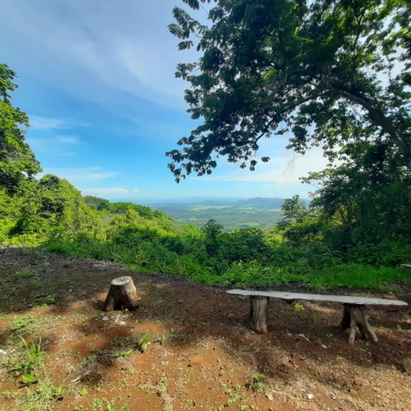 WhatsApp Image 2020-06-13 at 16.17.46 (3)