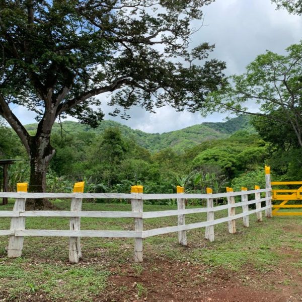 WhatsApp Image 2020-06-13 at 23.20.47