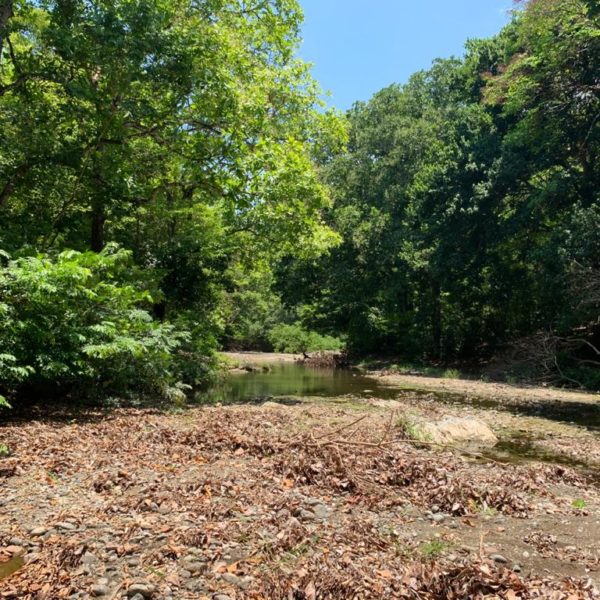 WhatsApp Image 2020-06-14 at 13.06.01 (12)