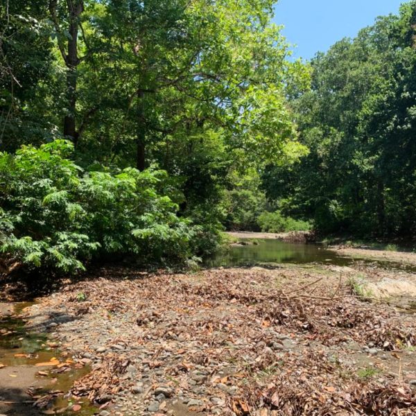 WhatsApp Image 2020-06-14 at 13.06.01 (7)