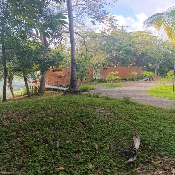 4 Containers and View